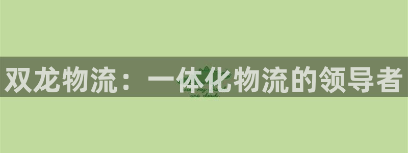 28圈黑钱：双龙物流：一体化物流的领